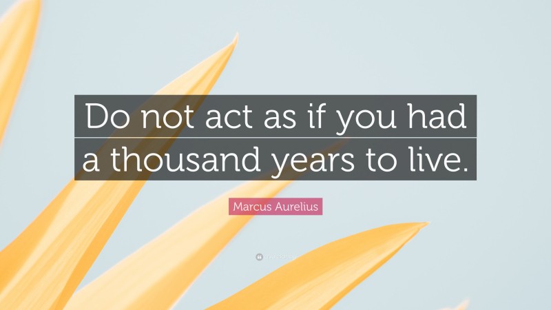 Marcus Aurelius Quote: “Do not act as if you had a thousand years to live.”