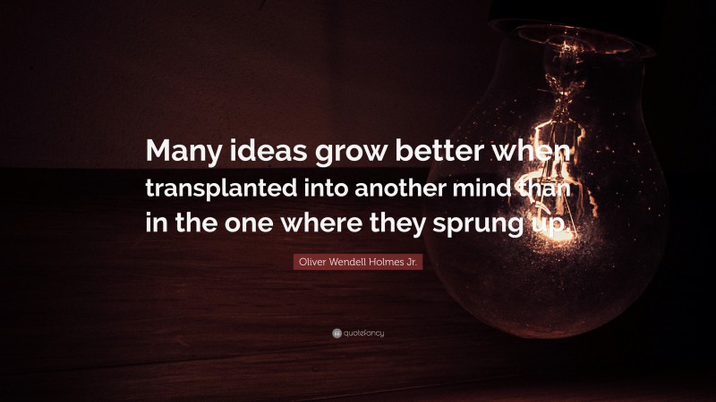Oliver Wendell Holmes Jr. Quote: “Many ideas grow better when transplanted into another mind than in the one where they sprung up.”