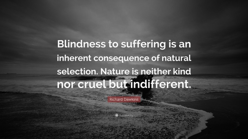 Richard Dawkins Quote: “Blindness to suffering is an inherent consequence of natural selection. Nature is neither kind nor cruel but indifferent.”