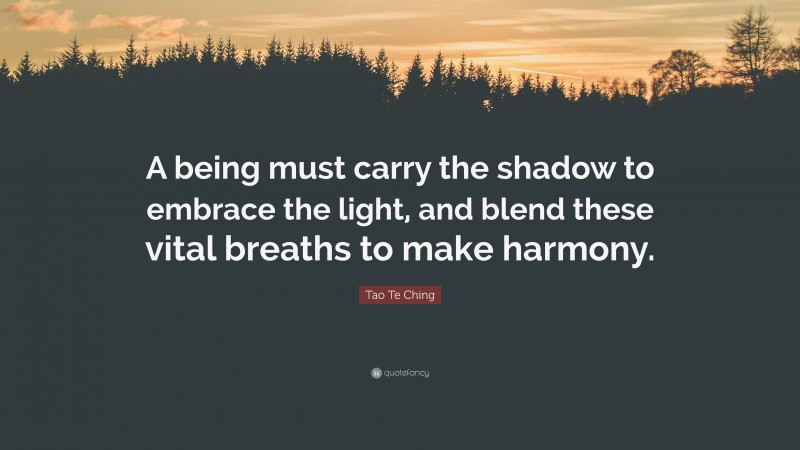 Tao Te Ching Quote: “A being must carry the shadow to embrace the light, and blend these vital breaths to make harmony.”