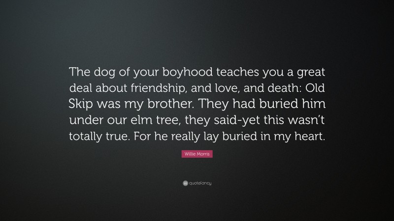 Willie Morris Quote: “The dog of your boyhood teaches you a great deal about friendship, and love, and death: Old Skip was my brother. They had buried him under our elm tree, they said-yet this wasn’t totally true. For he really lay buried in my heart.”
