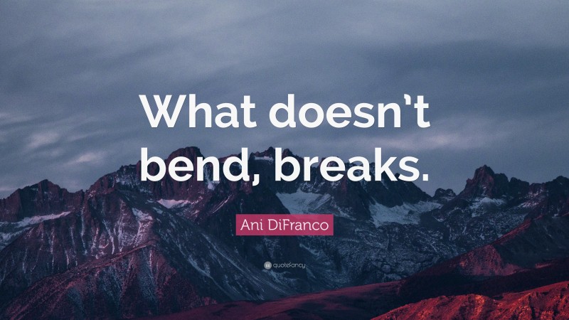 Ani DiFranco Quote: “What doesn’t bend, breaks.”