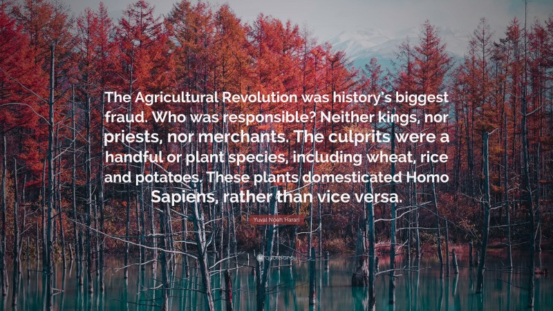 Yuval Noah Harari Quote: “The Agricultural Revolution was history’s biggest fraud. Who was responsible? Neither kings, nor priests, nor merchants. The culprits were a handful or plant species, including wheat, rice and potatoes. These plants domesticated Homo Sapiens, rather than vice versa.”