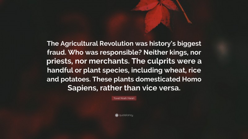 Yuval Noah Harari Quote: “The Agricultural Revolution was history’s biggest fraud. Who was responsible? Neither kings, nor priests, nor merchants. The culprits were a handful or plant species, including wheat, rice and potatoes. These plants domesticated Homo Sapiens, rather than vice versa.”