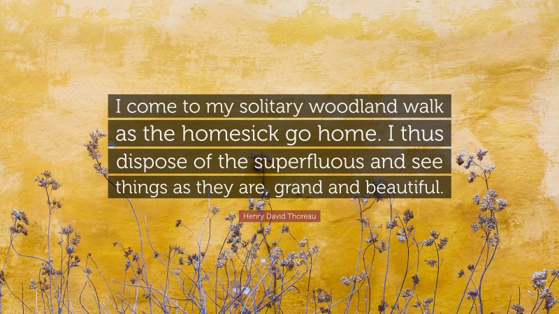 Henry David Thoreau Quote: “I come to my solitary woodland walk as the homesick go home. I thus dispose of the superfluous and see things as they are, grand and beautiful.”