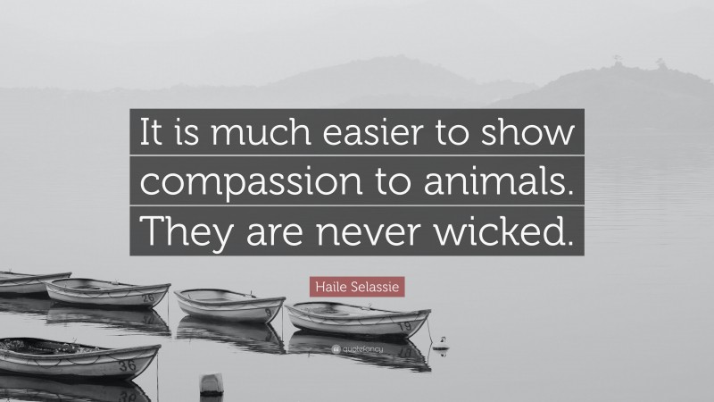 Haile Selassie Quote: “It is much easier to show compassion to animals. They are never wicked.”