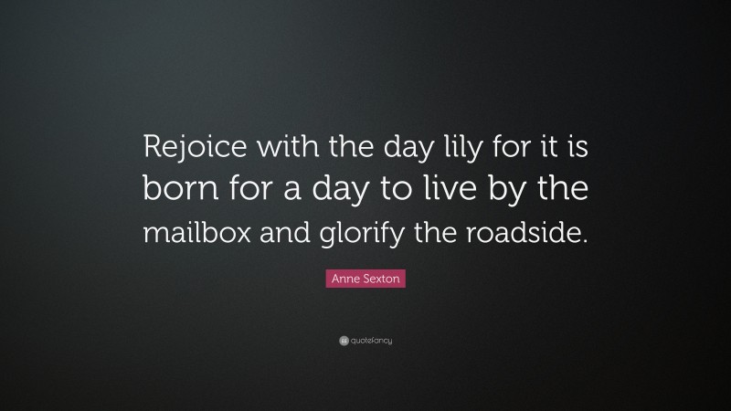 Anne Sexton Quote: “Rejoice with the day lily for it is born for a day to live by the mailbox and glorify the roadside.”