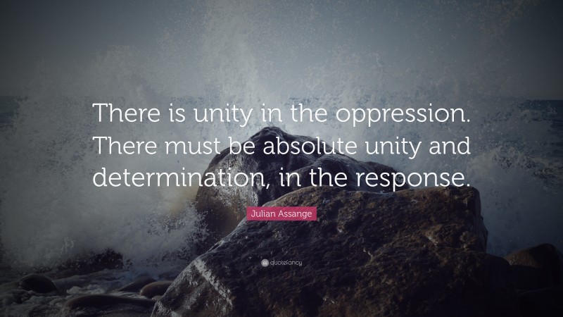 Julian Assange Quote: “There is unity in the oppression. There must be absolute unity and determination, in the response.”