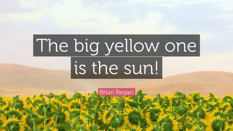 Brian Regan Quote: “The big yellow one is the sun!”