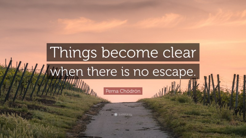 Pema Chödrön Quote: “Things become clear when there is no escape.”