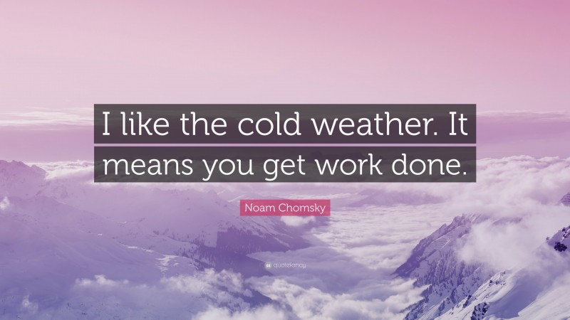 Noam Chomsky Quote: “I like the cold weather. It means you get work done.”
