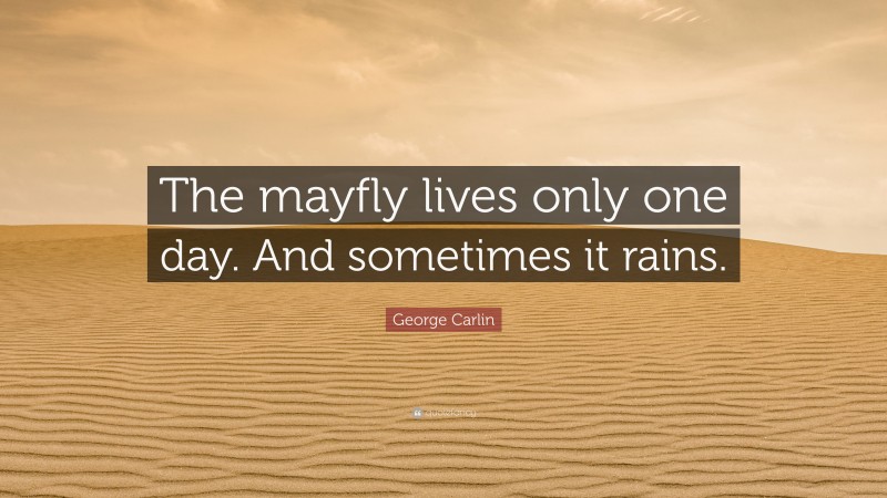 George Carlin Quote: “The mayfly lives only one day. And sometimes it rains.”
