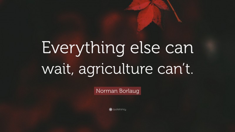 Norman Borlaug Quote: “Everything else can wait, agriculture can’t.”
