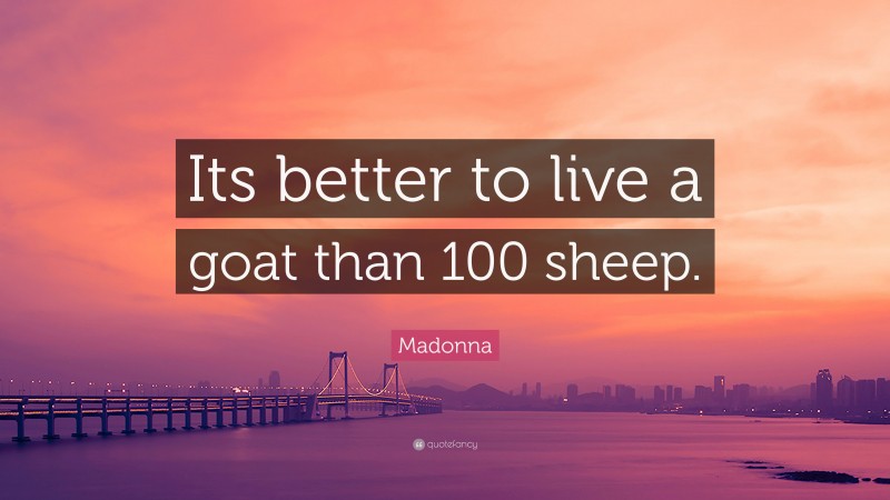 Madonna Quote: “Its better to live a goat than 100 sheep.”