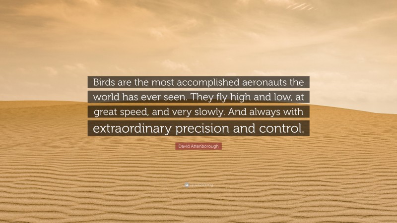 David Attenborough Quote: “Birds are the most accomplished aeronauts the world has ever seen. They fly high and low, at great speed, and very slowly. And always with extraordinary precision and control.”