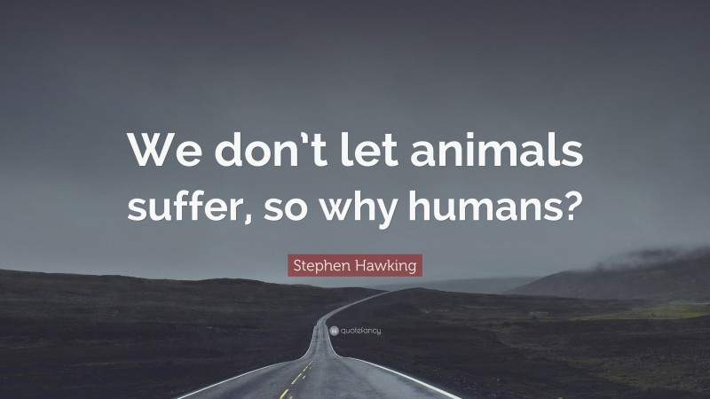 Stephen Hawking Quote: “We don’t let animals suffer, so why humans?”