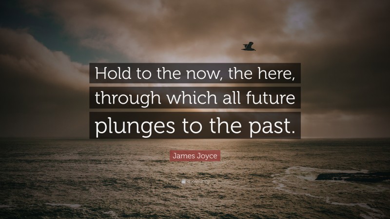 James Joyce Quote: “Hold to the now, the here, through which all future plunges to the past.”
