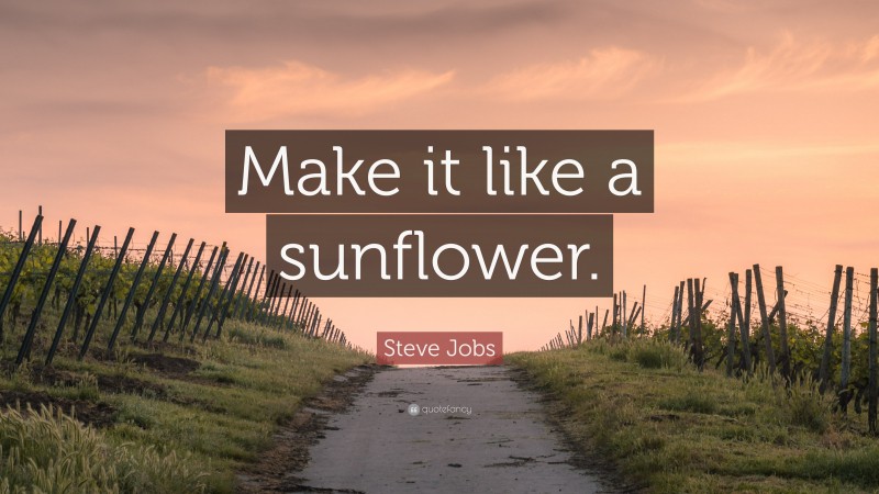 Steve Jobs Quote: “Make it like a sunflower.”
