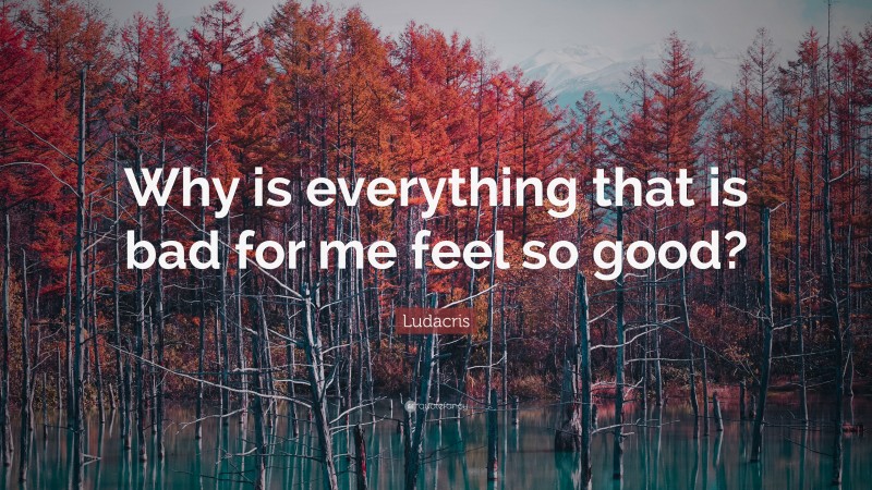 Ludacris Quote: “Why is everything that is bad for me feel so good?”