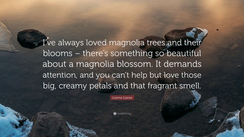 Joanna Gaines Quote: “I’ve always loved magnolia trees and their blooms – there’s something so beautiful about a magnolia blossom. It demands attention, and you can’t help but love those big, creamy petals and that fragrant smell.”