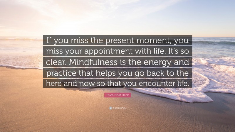 Thich Nhat Hanh Quote: “If you miss the present moment, you miss your appointment with life. It’s so clear. Mindfulness is the energy and practice that helps you go back to the here and now so that you encounter life.”