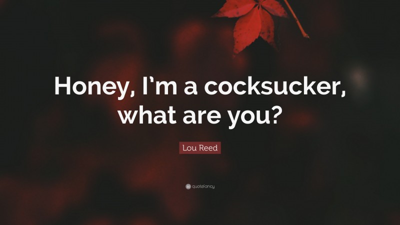 Lou Reed Quote: “Honey, I’m a cocksucker, what are you?”