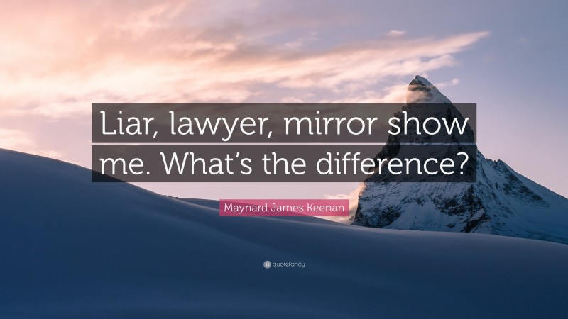 Maynard James Keenan Quote: “Liar, lawyer, mirror show me. What’s the difference?”