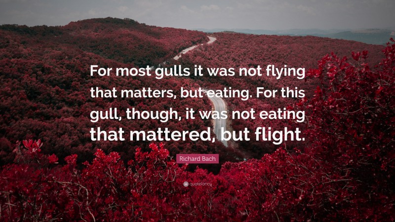 Richard Bach Quote: “For most gulls it was not flying that matters, but eating. For this gull, though, it was not eating that mattered, but flight.”