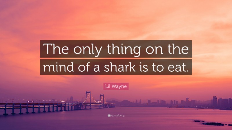 Lil Wayne Quote: “The only thing on the mind of a shark is to eat.”
