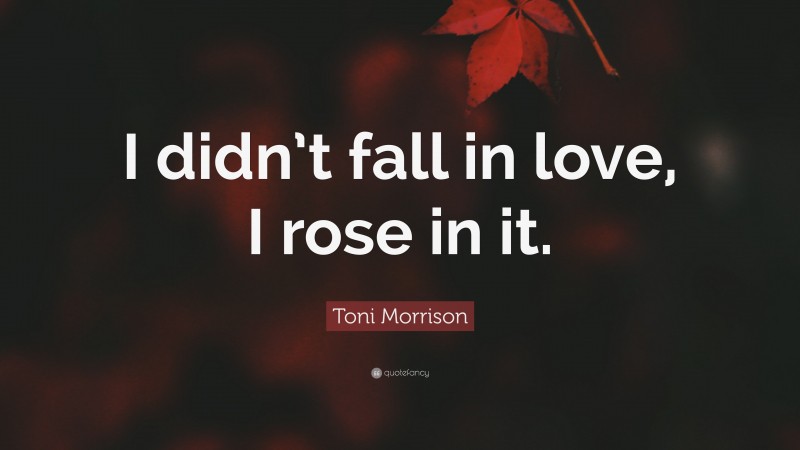 Toni Morrison Quote: “I didn’t fall in love, I rose in it.”