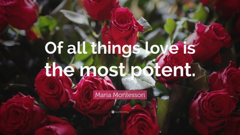 Maria Montessori Quote: “Of all things love is the most potent.”