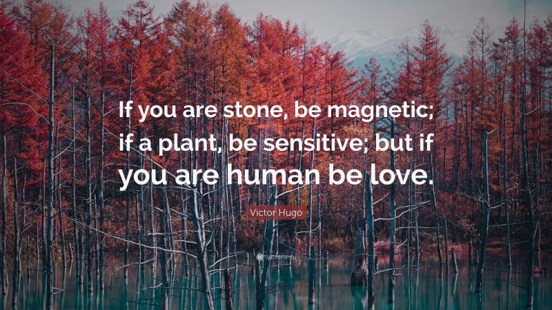 Victor Hugo Quote: “If you are stone, be magnetic; if a plant, be sensitive; but if you are human be love.”
