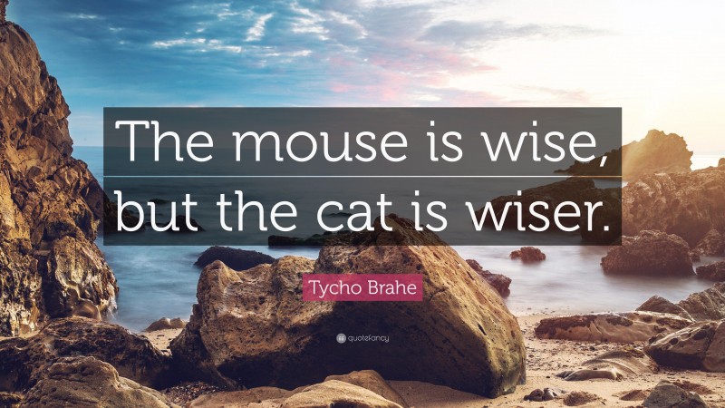 Tycho Brahe Quote: “The mouse is wise, but the cat is wiser.”