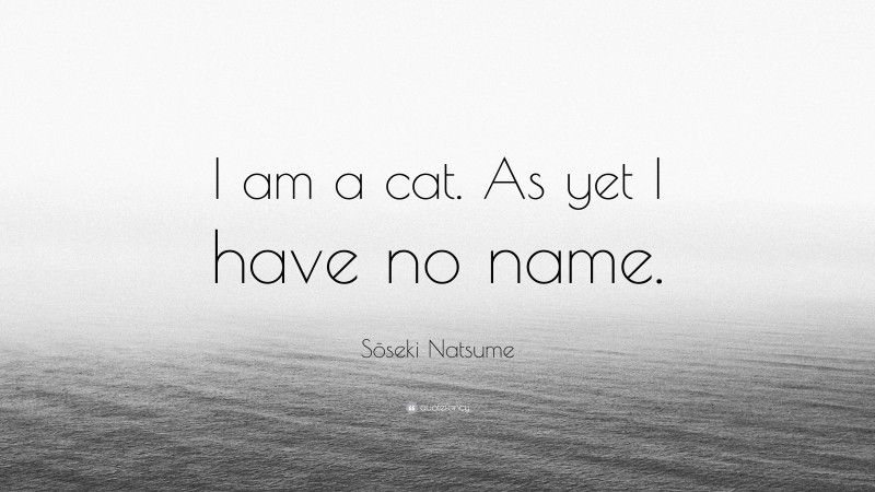 Sōseki Natsume Quote: “I am a cat. As yet I have no name.”