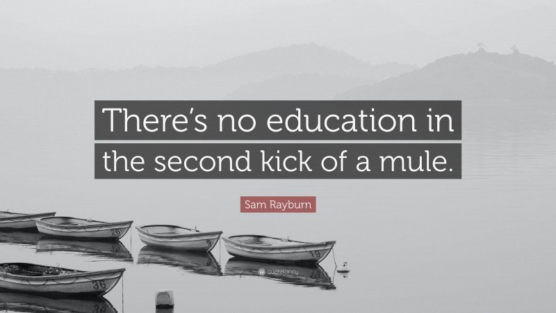 Sam Rayburn Quote: “There’s no education in the second kick of a mule.”