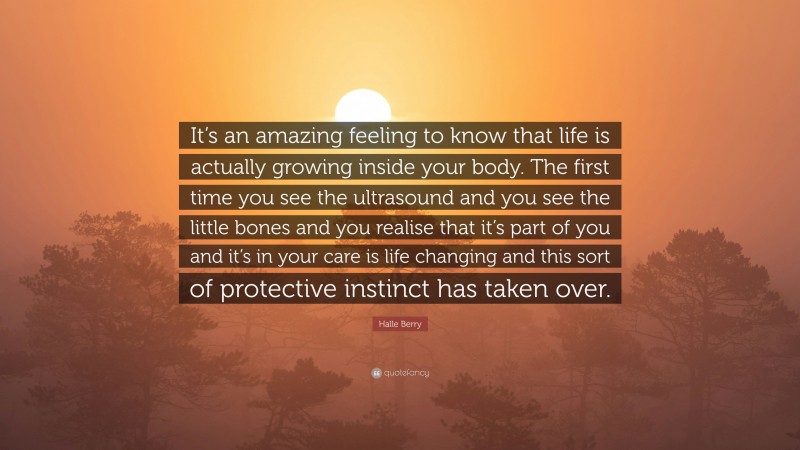 Halle Berry Quote: “It’s an amazing feeling to know that life is actually growing inside your body. The first time you see the ultrasound and you see the little bones and you realise that it’s part of you and it’s in your care is life changing and this sort of protective instinct has taken over.”