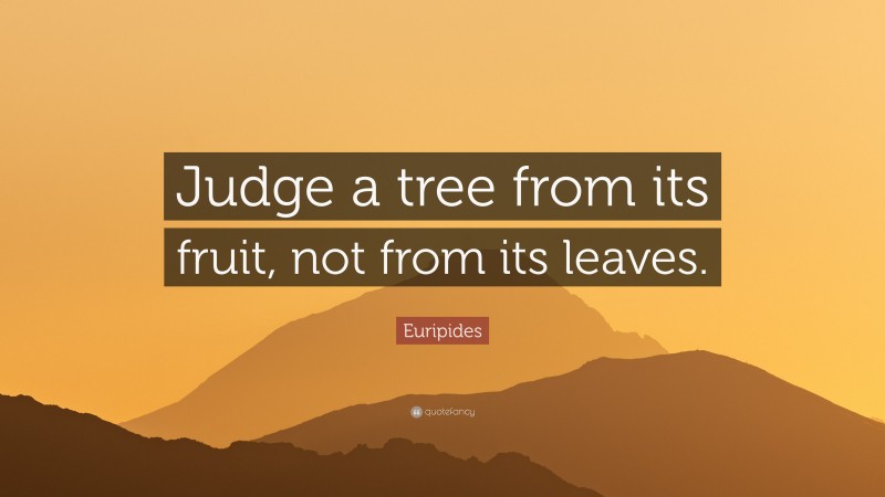 Euripides Quote: “Judge a tree from its fruit, not from its leaves.”