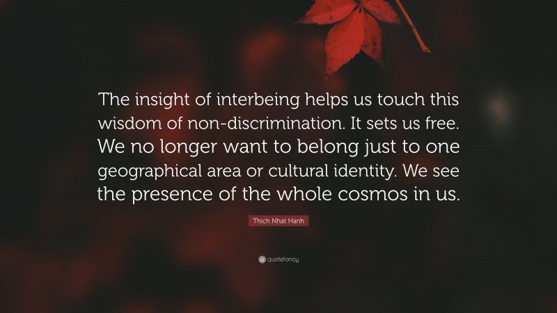 Thich Nhat Hanh Quote: “The insight of interbeing helps us touch this wisdom of non-discrimination. It sets us free. We no longer want to belong just to one geographical area or cultural identity. We see the presence of the whole cosmos in us.”
