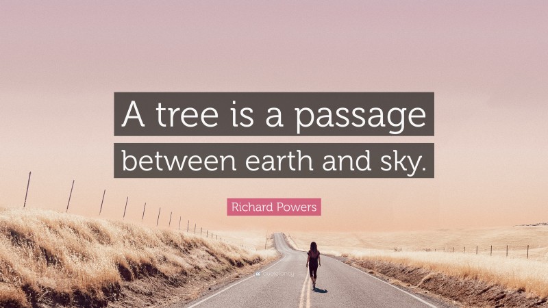 Richard Powers Quote: “A tree is a passage between earth and sky.”