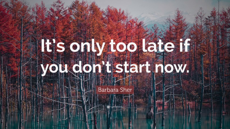 Barbara Sher Quote: “It’s only too late if you don’t start now.”