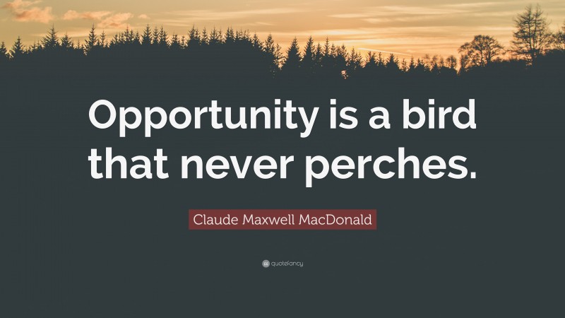 Claude Maxwell MacDonald Quote: “Opportunity is a bird that never perches.”
