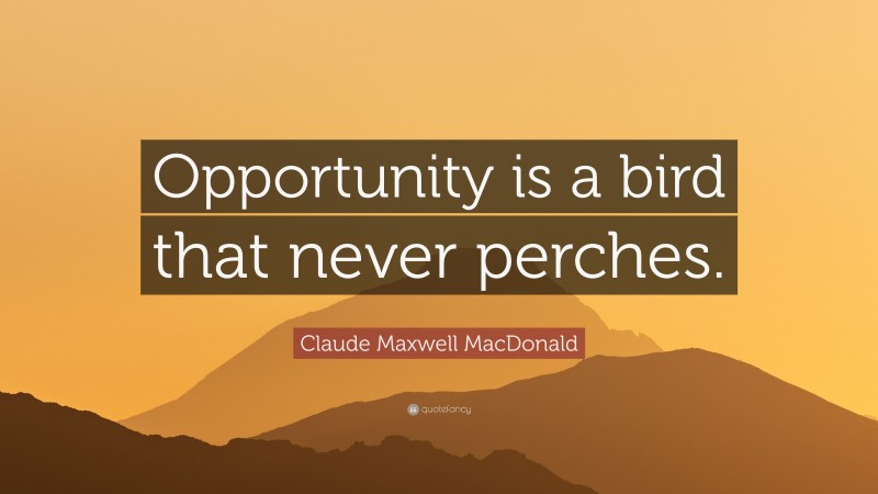 Claude Maxwell MacDonald Quote: “Opportunity is a bird that never perches.”