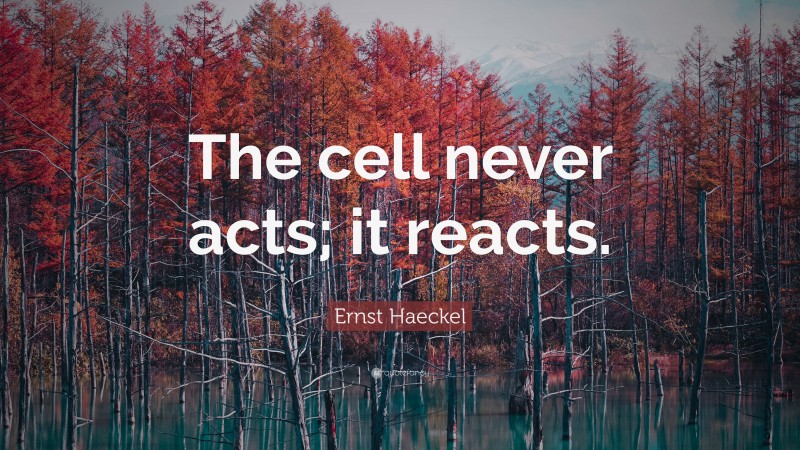 Ernst Haeckel Quote: “The cell never acts; it reacts.”