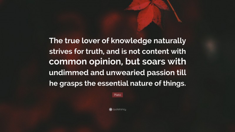 Plato Quote: “The true lover of knowledge naturally strives for truth, and is not content with common opinion, but soars with undimmed and unwearied passion till he grasps the essential nature of things.”