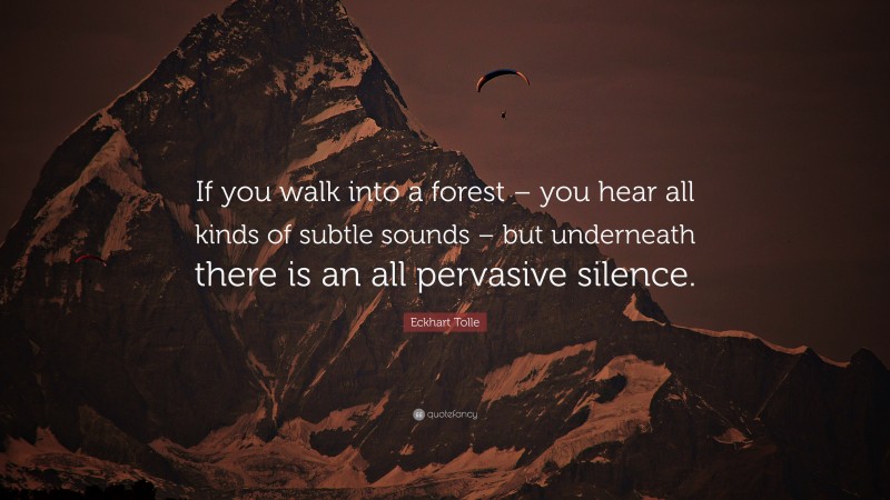 Eckhart Tolle Quote: “If you walk into a forest – you hear all kinds of subtle sounds – but underneath there is an all pervasive silence.”