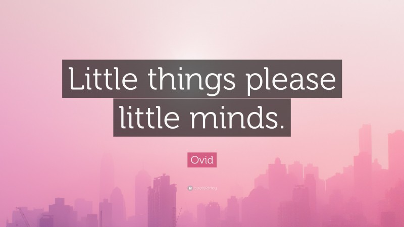 Ovid Quote: “Little things please little minds.”