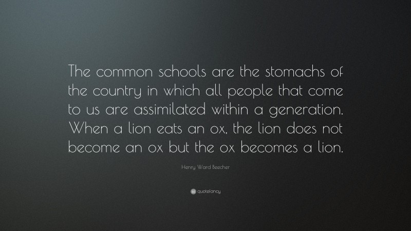 Henry Ward Beecher Quote: “The common schools are the stomachs of the country in which all people that come to us are assimilated within a generation. When a lion eats an ox, the lion does not become an ox but the ox becomes a lion.”
