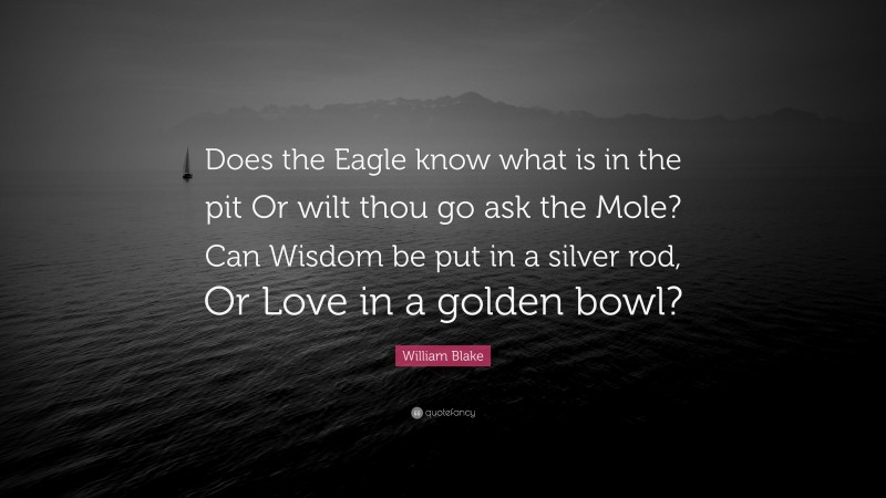 William Blake Quote: “Does the Eagle know what is in the pit Or wilt thou go ask the Mole? Can Wisdom be put in a silver rod, Or Love in a golden bowl?”