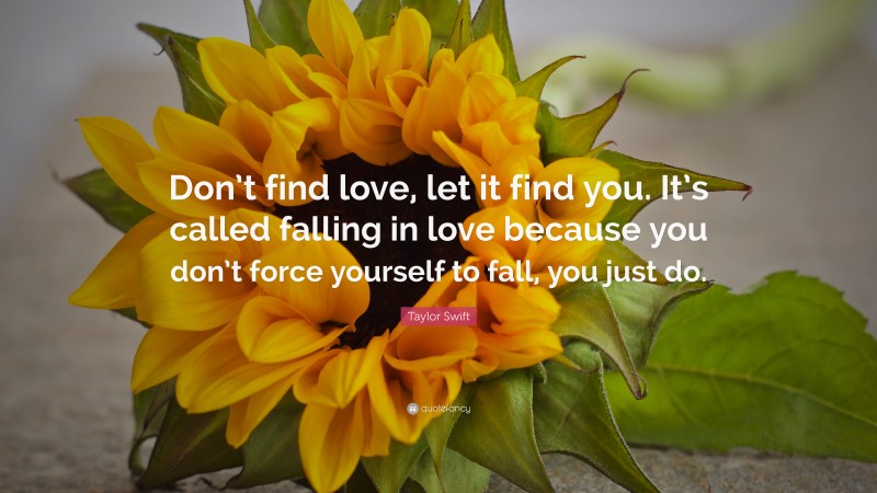 Taylor Swift Quote: “Don’t find love, let it find you. It’s called falling in love because you don’t force yourself to fall, you just do.”
