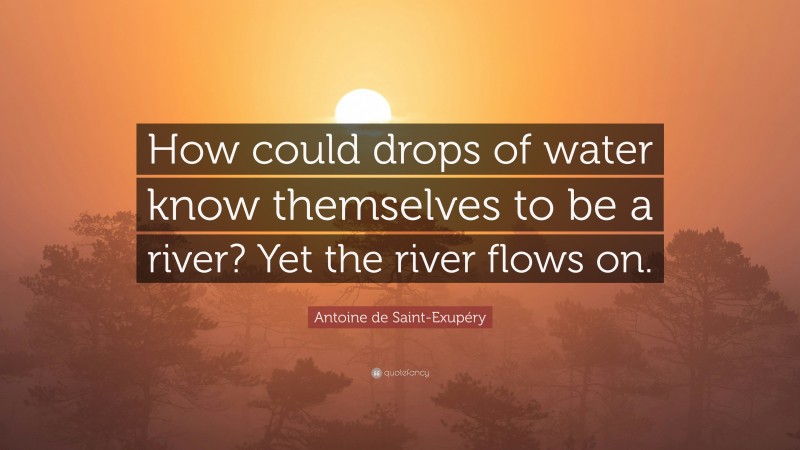 Antoine de Saint-Exupéry Quote: “How could drops of water know themselves to be a river? Yet the river flows on.”
